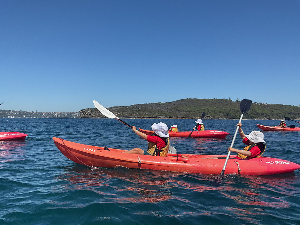 20250128_000325291_iOS